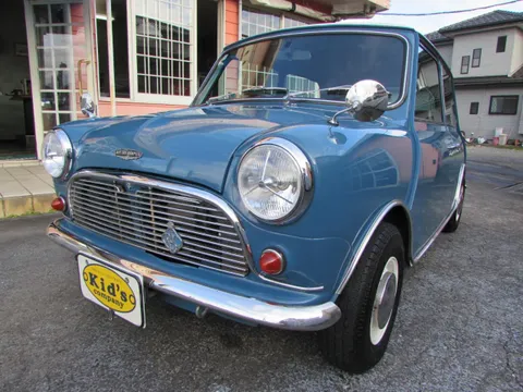 Rover Mini