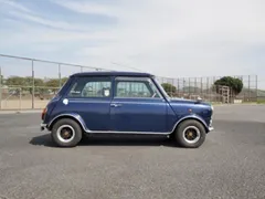 Rover Mini