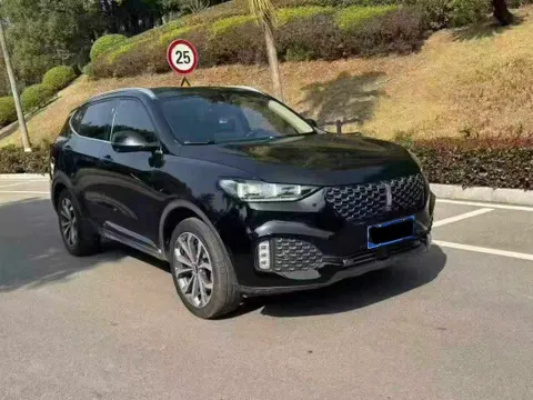 Wey VV6