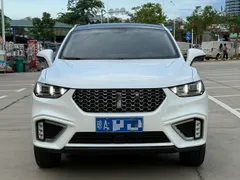 Wey VV5