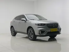 Wey VV5