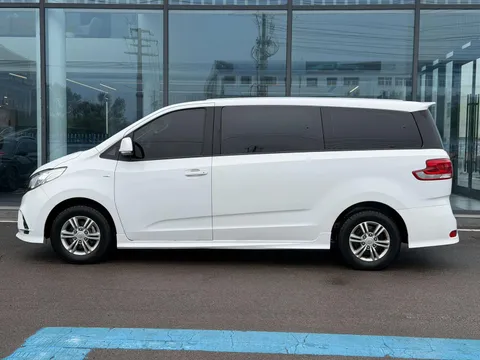 Maxus G10