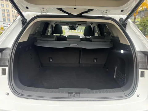 Wey VV6