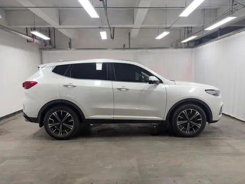 Wey VV6