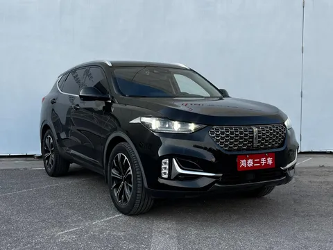 Wey VV6