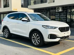 Wey VV6