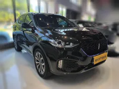 Wey VV6