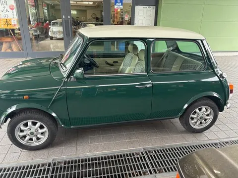 Rover Mini