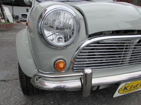 Rover Mini