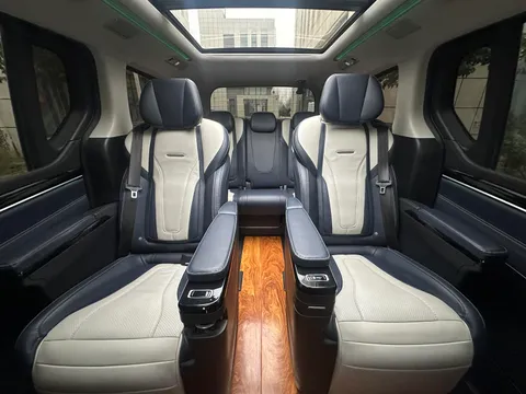 Maxus G20