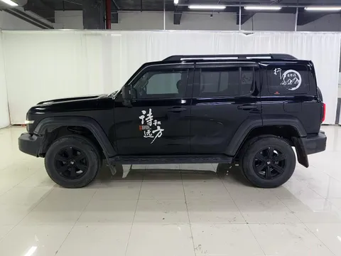 Tank 300