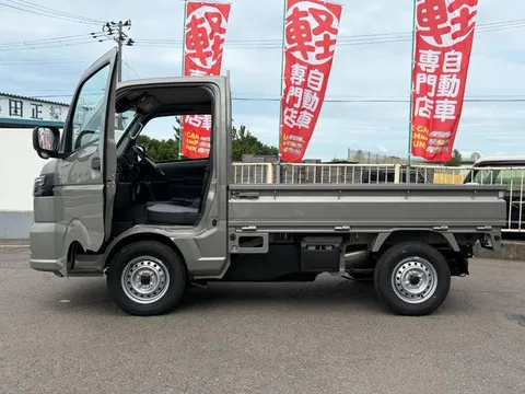 Suzuki Carry Track