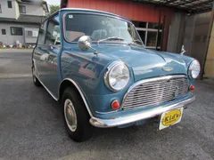 Rover Mini