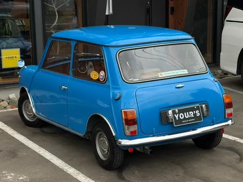 Rover Mini