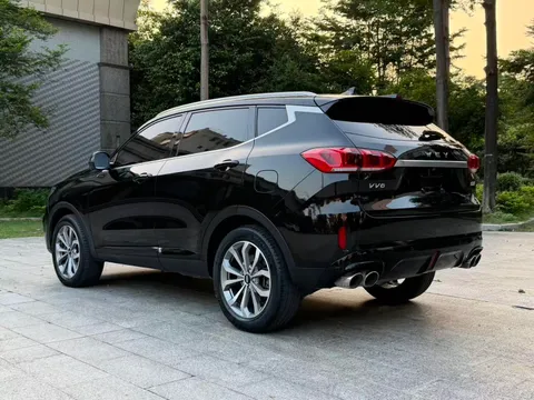 Wey VV6