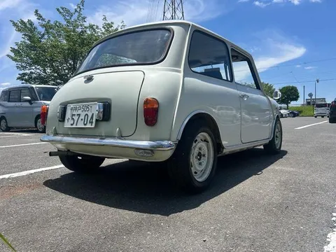Rover Mini