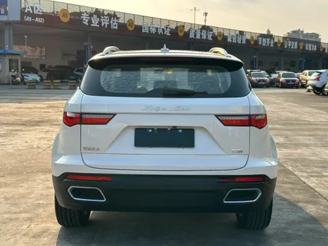 Zotye T700