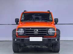 Tank 300