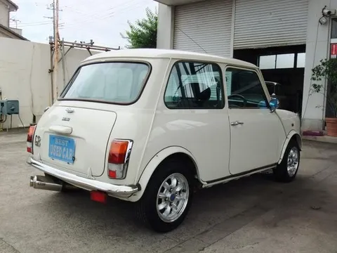 Rover Mini