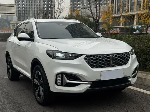 Wey VV6
