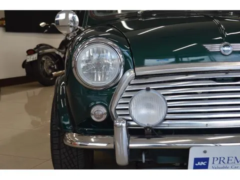 Rover Mini