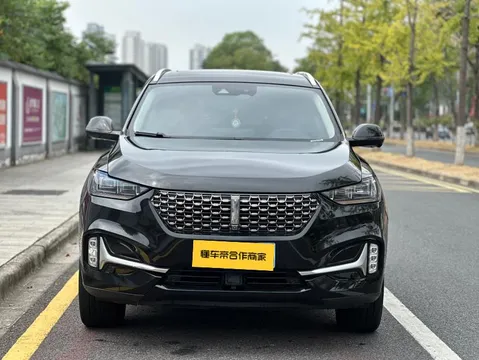 Wey VV6