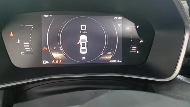 Geely Preface (Xingrui)
