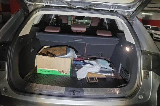 Wey VV6