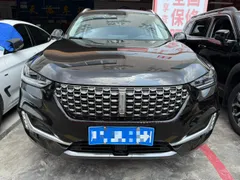Wey VV6
