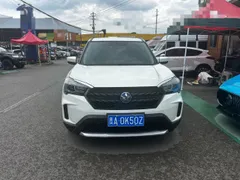 Venucia T60