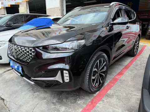 Wey VV6