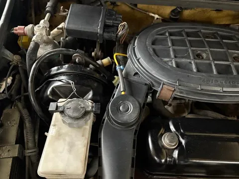 Rover Mini