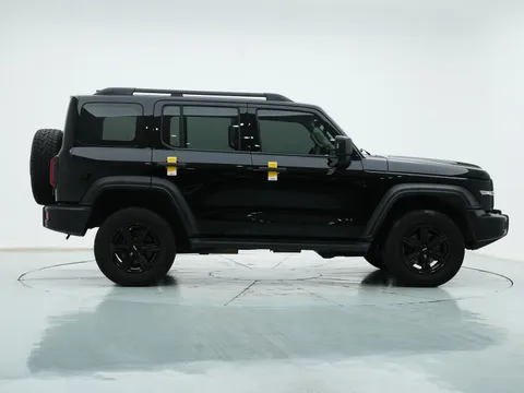 Tank 300