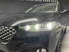 Wey VV6