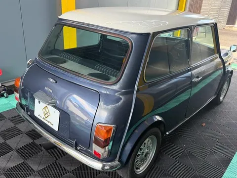 Rover Mini