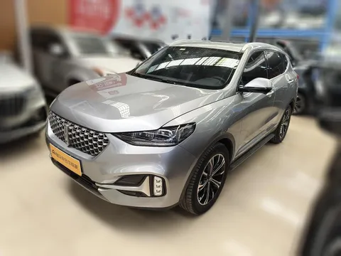 Wey VV6