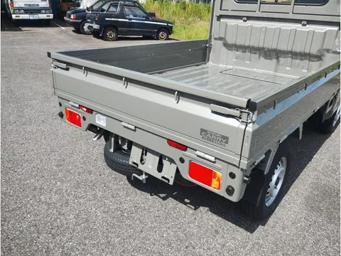 Suzuki Carry Track