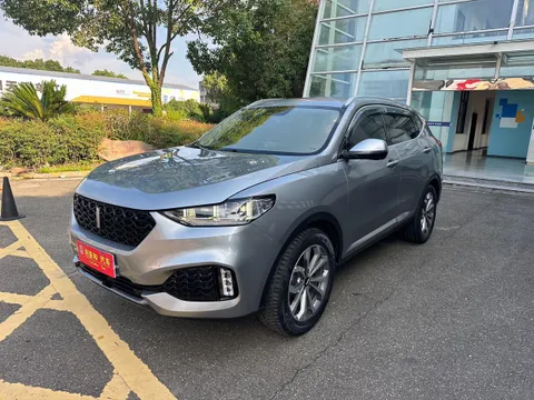 Wey VV6