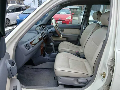 Mitsuoka Viewt