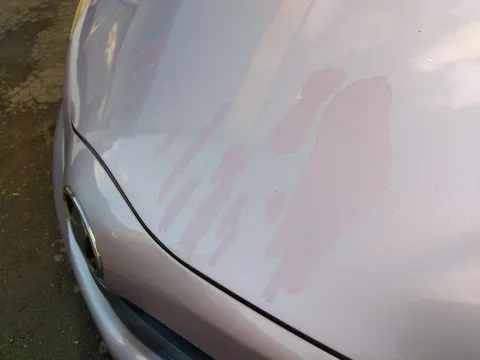 Toyota Yaris (Vitz)