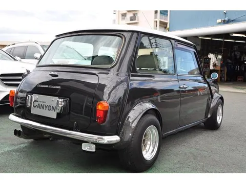 Rover Mini