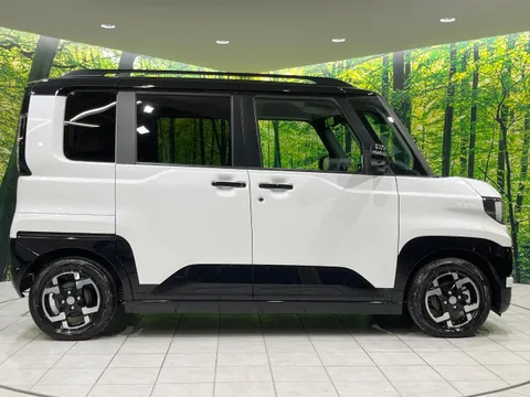 Mitsubishi Delica Mini