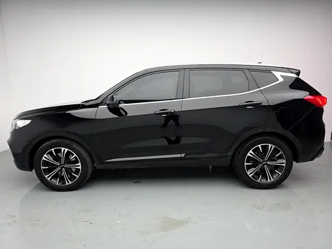 Wey VV6