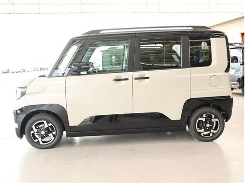 Mitsubishi Delica Mini