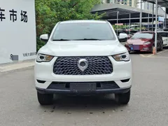 Great Wall Poer