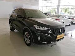 Wey VV6