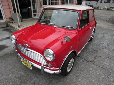 Rover Mini