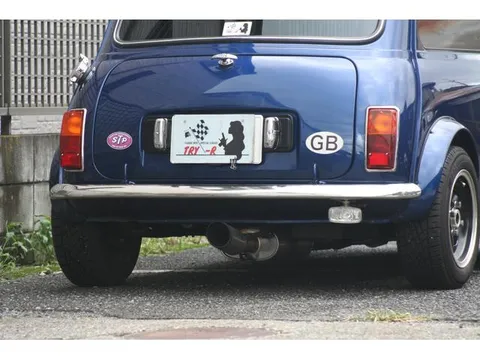 Rover Mini