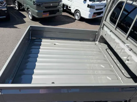 Suzuki Carry Track