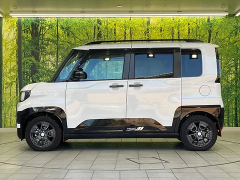 Mitsubishi Delica Mini
